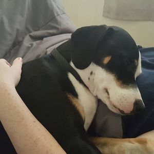 Meet your Posher, Charity